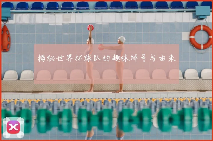 揭秘世界杯球队的趣味绰号与由来