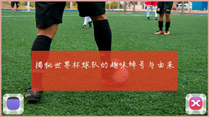 揭秘世界杯球队的趣味绰号与由来
