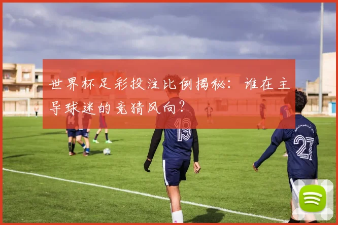 世界杯足彩投注比例揭秘:谁在主导球迷的竞猜风向?