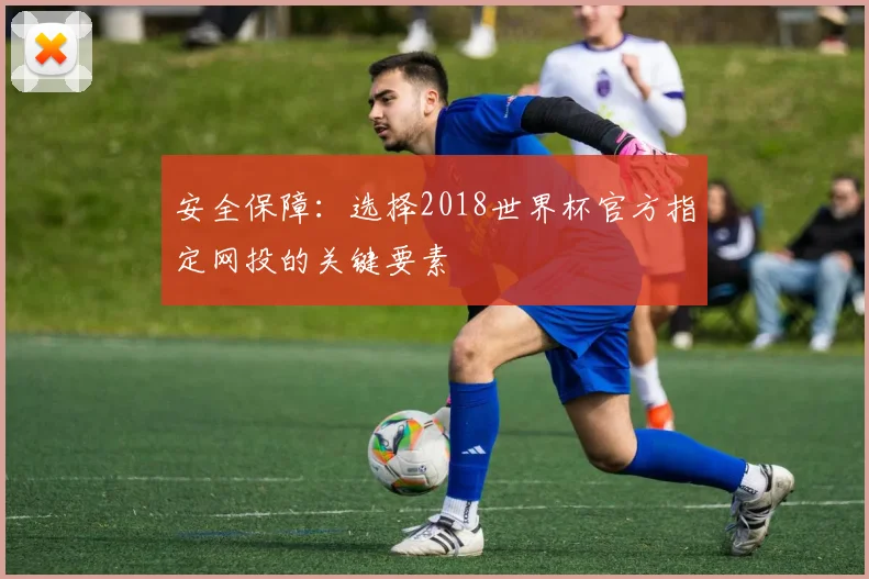 安全保障:选择2018世界杯官方指定网投的关键要素