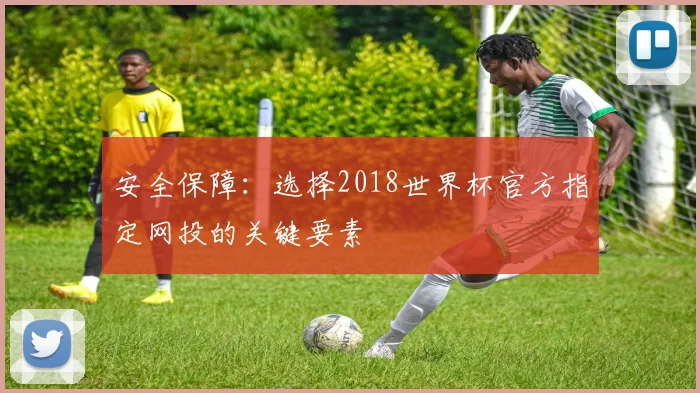 安全保障:选择2018世界杯官方指定网投的关键要素