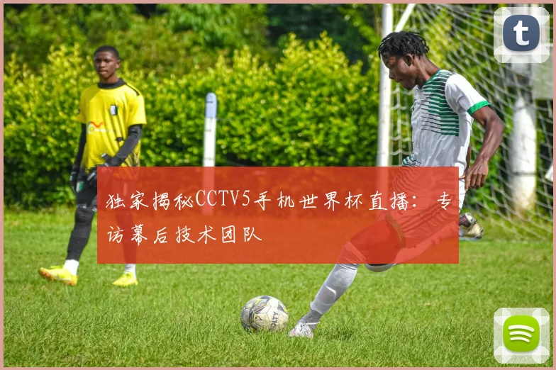 独家揭秘CCTV5手机世界杯直播:专访幕后技术团队