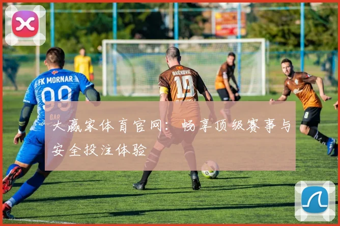 大赢家体育官网：畅享顶级赛事与安全投注体验