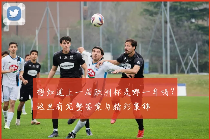 想知道上一届欧洲杯是哪一年吗？这里有完整答案与精彩集锦