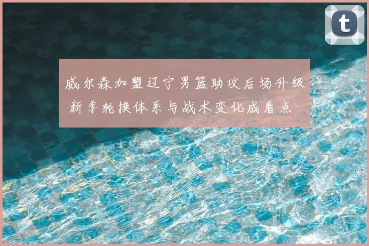 威尔森加盟辽宁男篮助攻后场升级 新季轮换体系与战术变化成看点